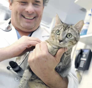 Dr. Michael Good - Founder of Town and Country Veterinary Hospital